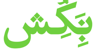 شهاب سیاوش - ۳ پوستر برای Poster4Tomorrow سال 2009